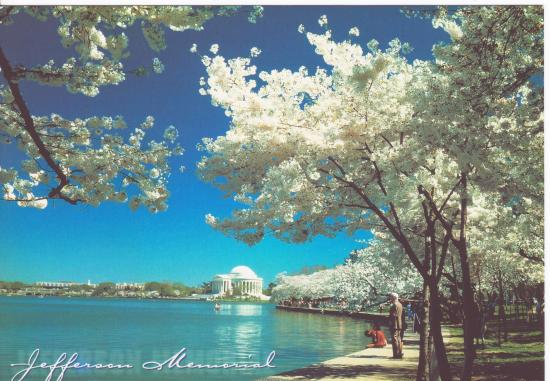 Jefferson Memorial, Washington D.C.