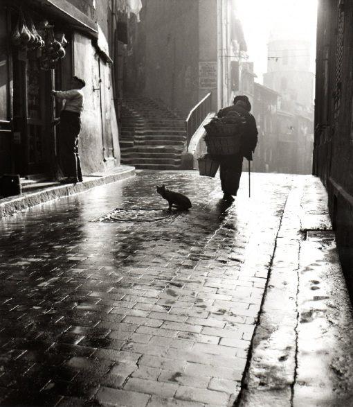 herbert maeder-marseille 1952