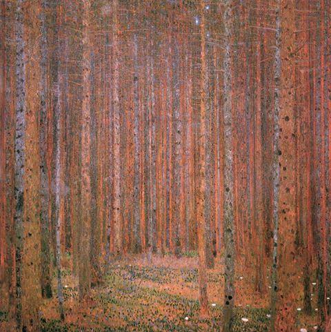 Gustav Klimt  Fir Forest I, 1951