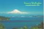 Mount Rainier rises above the city of Tacoma and Commencement Bay - Washington